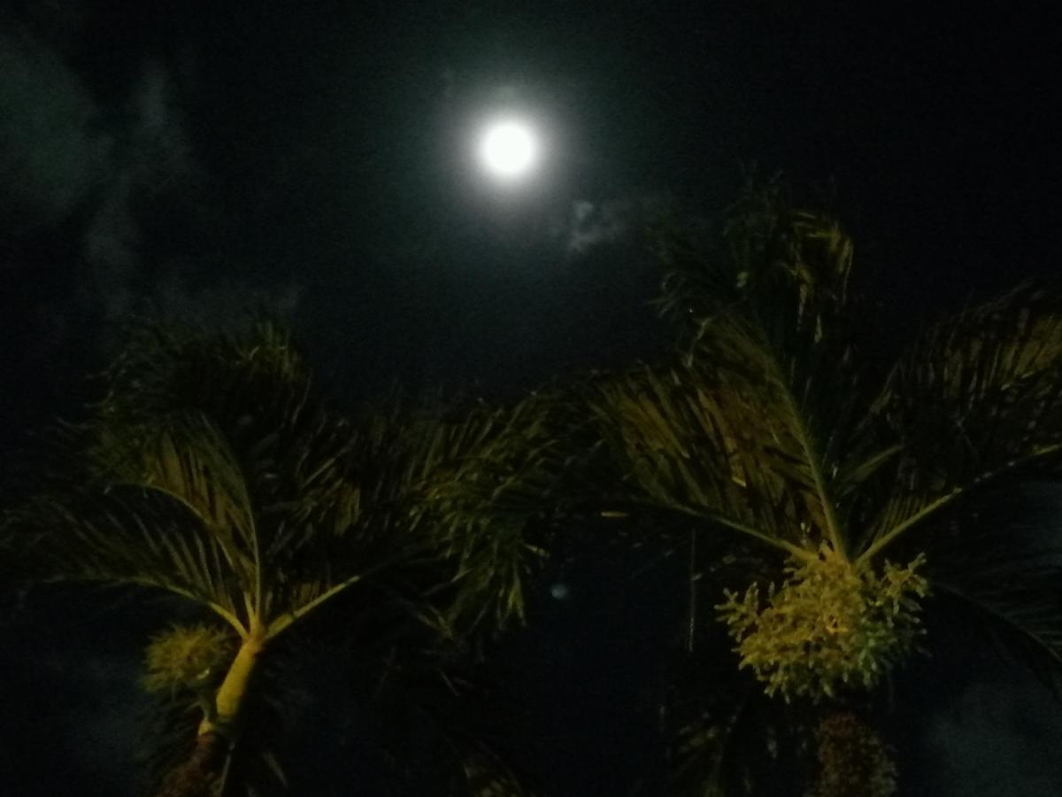Hotel Malinche Quepos Kültér fotó